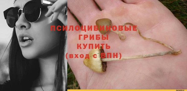 крисы Аркадак