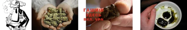 крисы Аркадак
