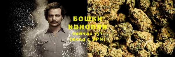 spice Арсеньев