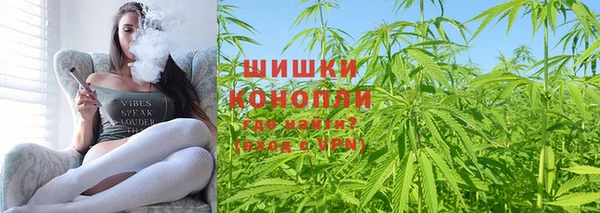 крисы Аркадак