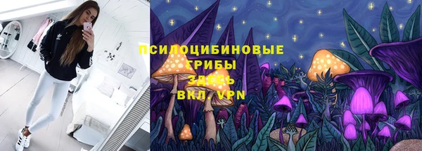 крисы Аркадак