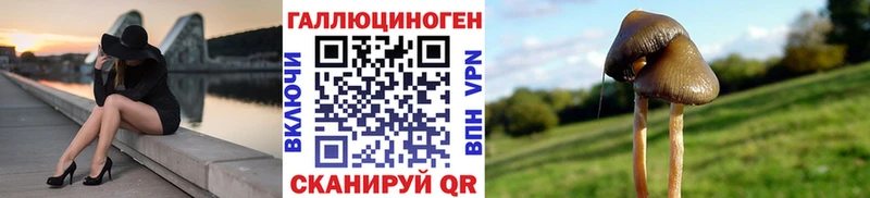 даркнет формула  цена наркотик  Гурьевск  Галлюциногенные грибы Cubensis 